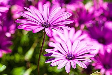 最有活的模拟经营老字号，想让玩家自己建间博物馆？